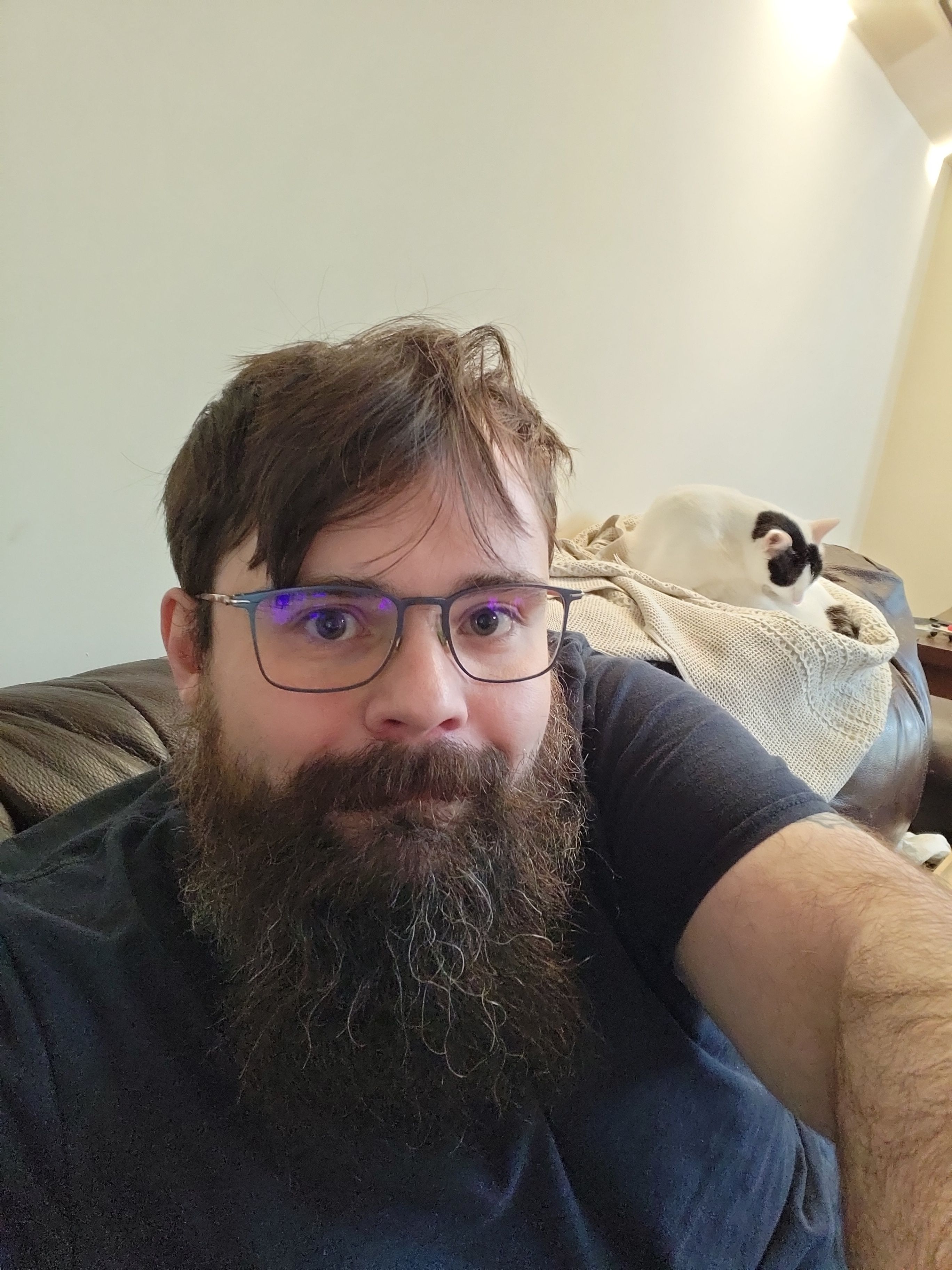 Sitting on my couch with my cat